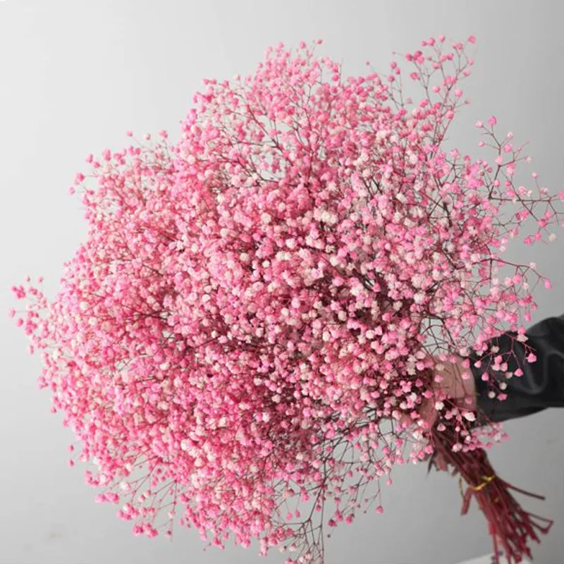 Natürlicher, frischer Schleierkraut, getrocknete, konservierte Blumen, Gypsophila paniculata, Blumensträuße für Hochzeitsdekoration, Valentinstagsgeschenk