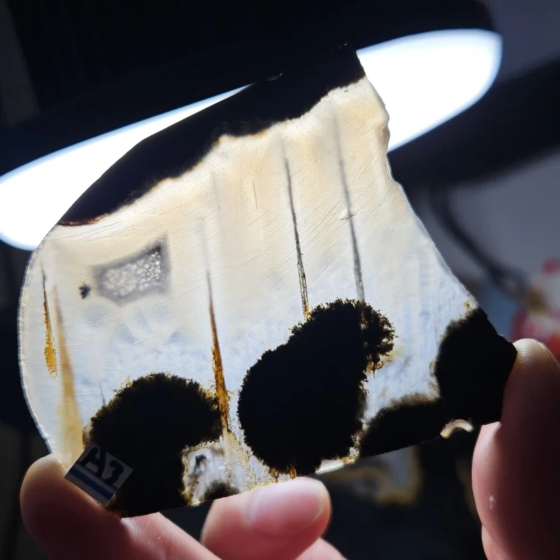 Rough-Surfaced Sliced Natural Madagascar Marine Agate Mineral Specimen Collection Crystal Healing Home Feng Shui Decoration