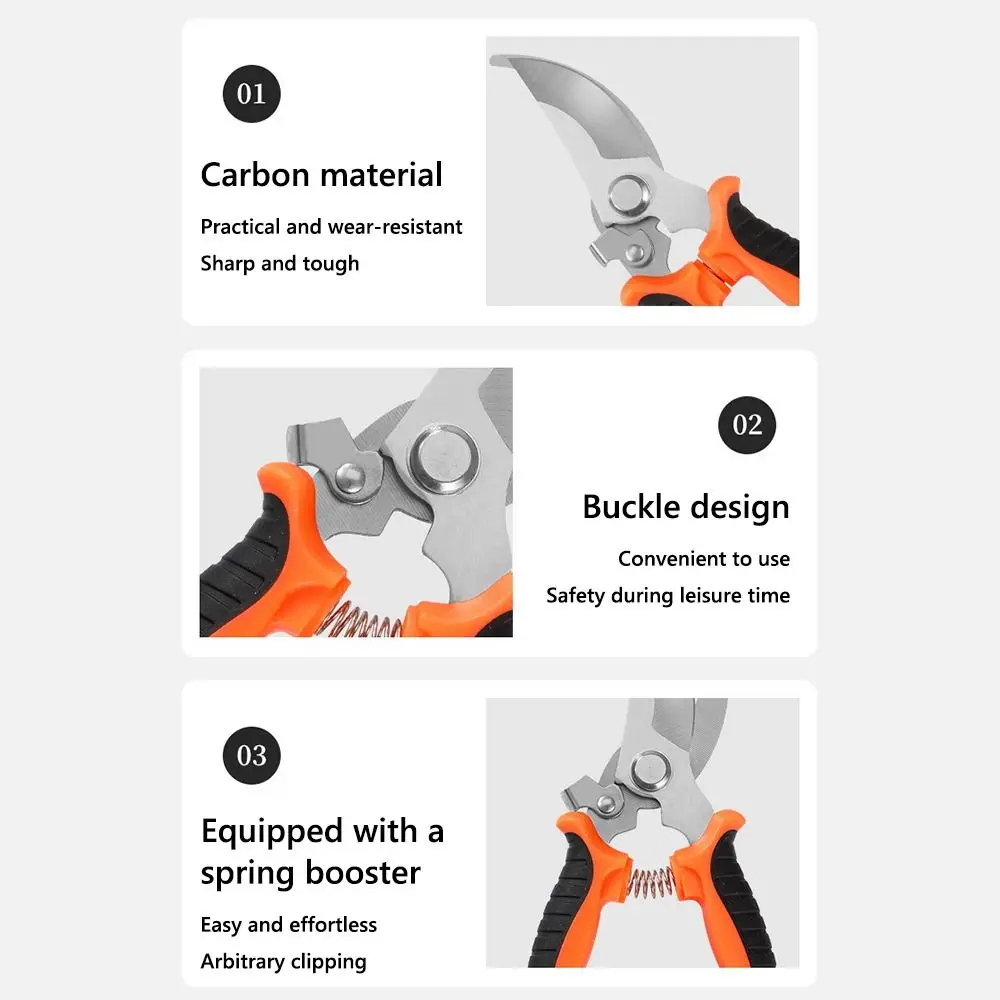 Stainless Steel Hor… - image