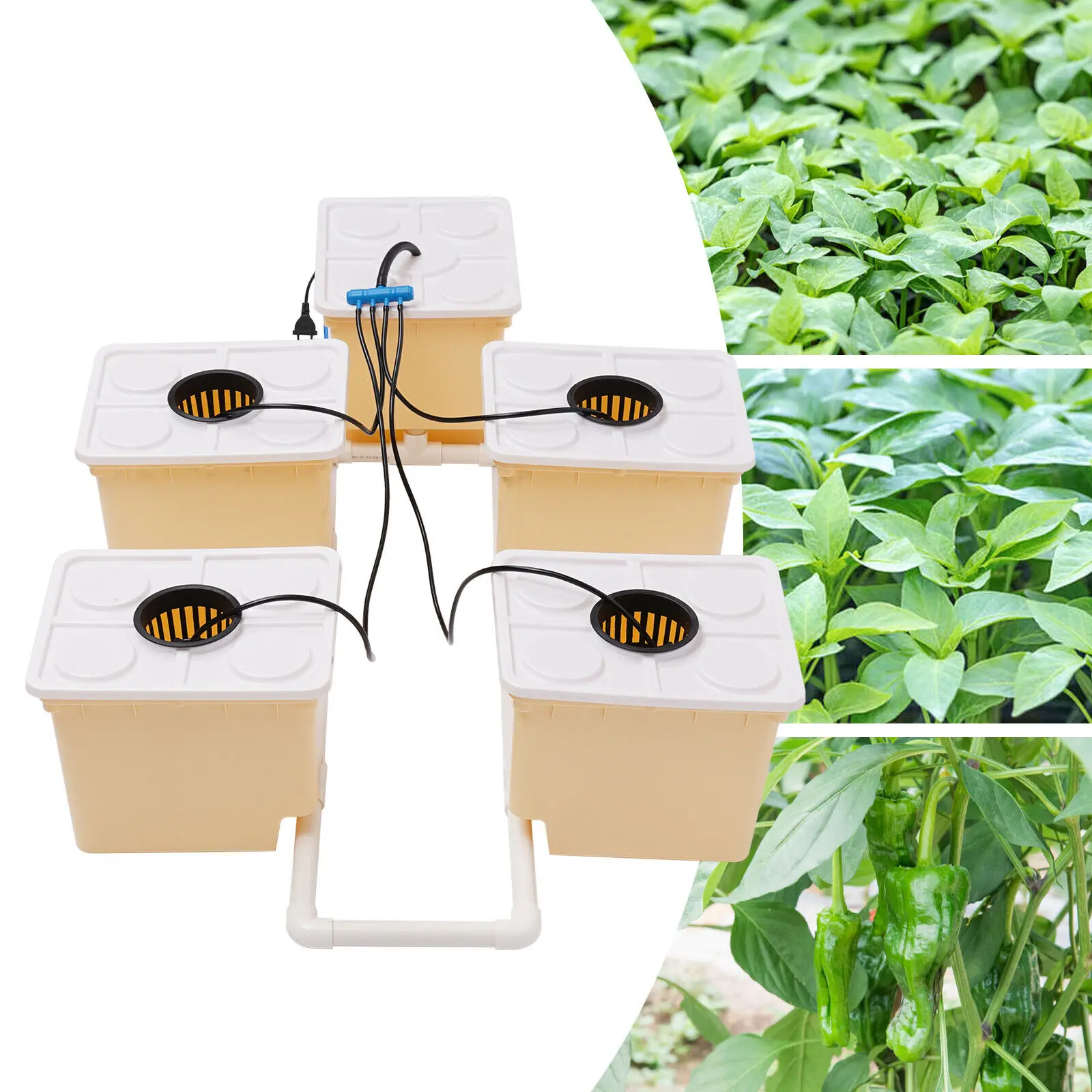 Imagem -02 - Indoor Hydroponic Grow System Kit Irrigação Cultivo Drip Growing System para Casa Dhl Bucket Plant 11l