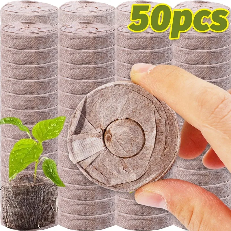 50/10pcs Planting Seedling Block Starter Plugs Nutrient Compressed Peat Block Media Cubes Nursery Pot Greenhouse Garden Supplies