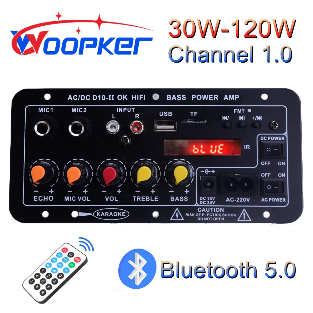 

Woopker D10-II Digital Bluetooth Amplifier Board Subwoofer Dual Microphone Karaoke 30-120W Amp Speaker 110V-220V 12V AMP Module