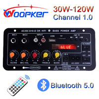 Woopker D10-II Digital Bluetooth Amplifier Board Subwoofer Dual Microphone Karaoke 30-120W Amp Speaker 110V-220V 12V AMP Module