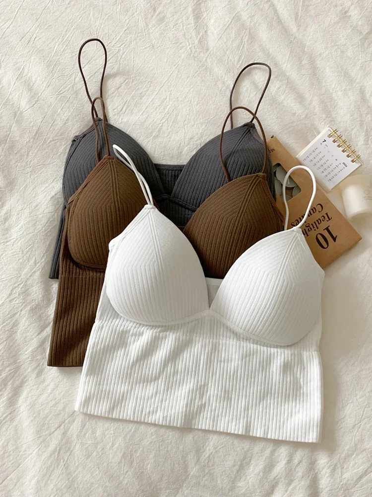 حمالة صدر كاميس ضيقة بدون أكمام للسيدات ملابس داخلية أساسية صيفية مبطنة حمالة صدر تانك القمم النسائية الصلبة المثيرة قطع علوية قصيرة