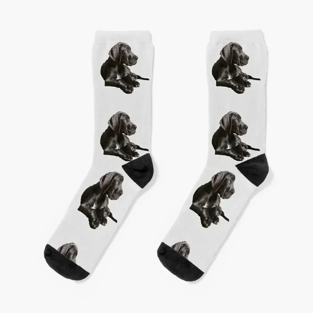 

Black Great Dane - Fantastic Beauty! Socks custom heated hip hop men cotton high quality Socks Ladies Men's