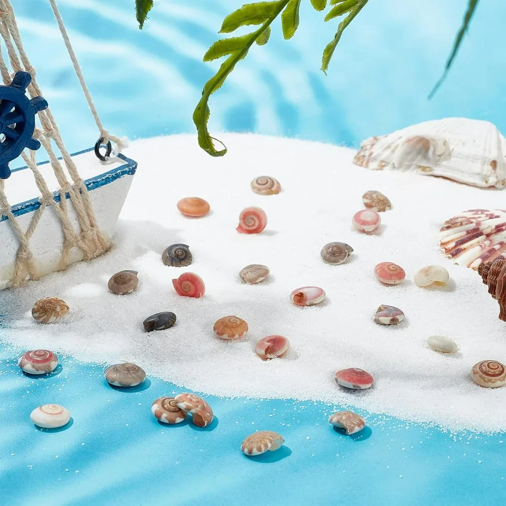 Tiny Sea Shells No Hole 190g Colorful Spiral Ocean Beach Seashells Small Turbo Shells Shell Charmd for Resin Party making kit