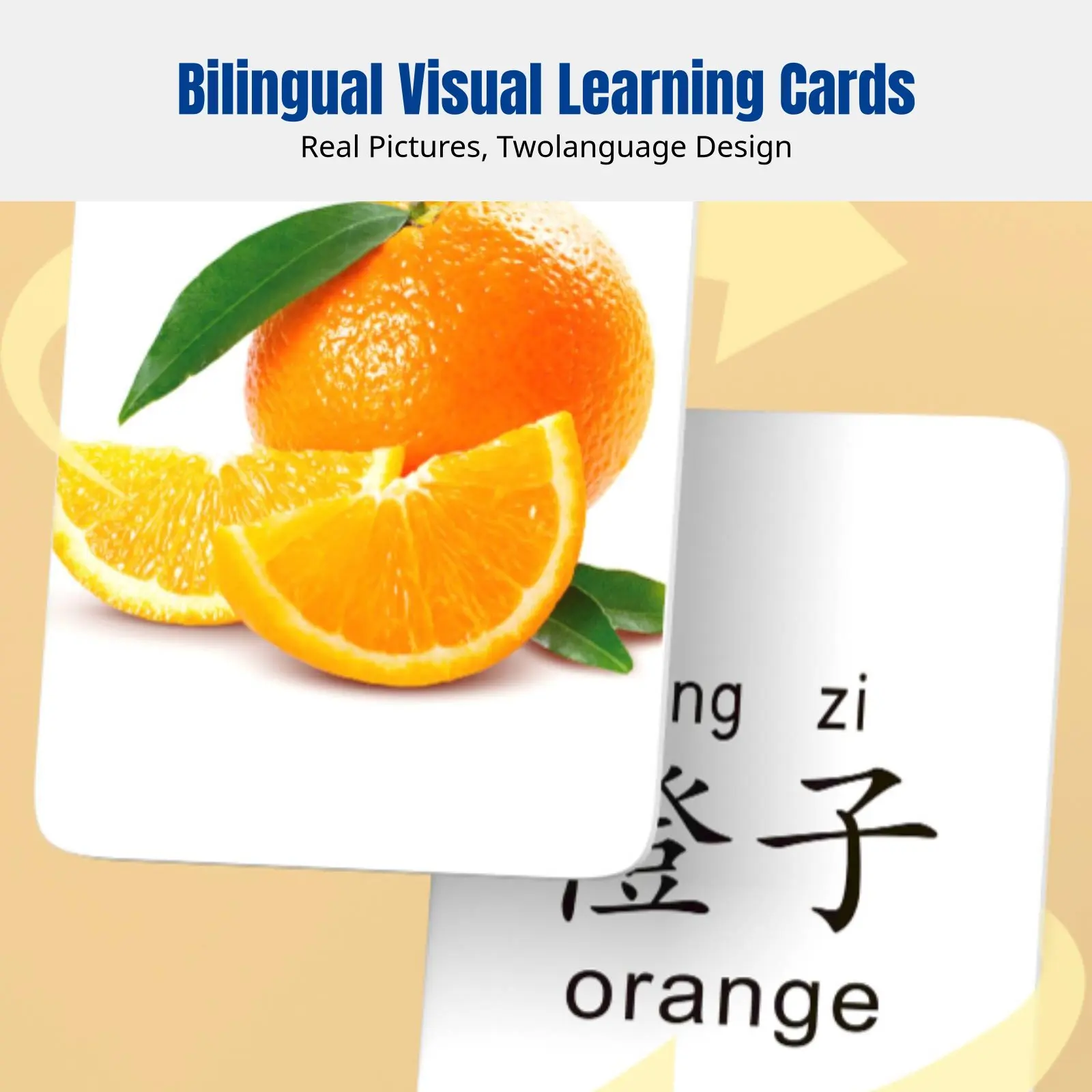 

Animal Cognition Memory Cards, Early Learning Cards for Babies, Large Size, Picture Recognition, Educational Set for Toddlers