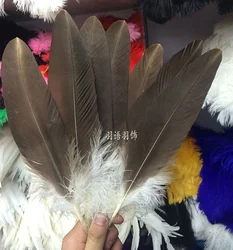 Rare Eagle Feather Natural Rare Horse Eagle Feather Household Flower Arrangement Decorative Feather Home Dec