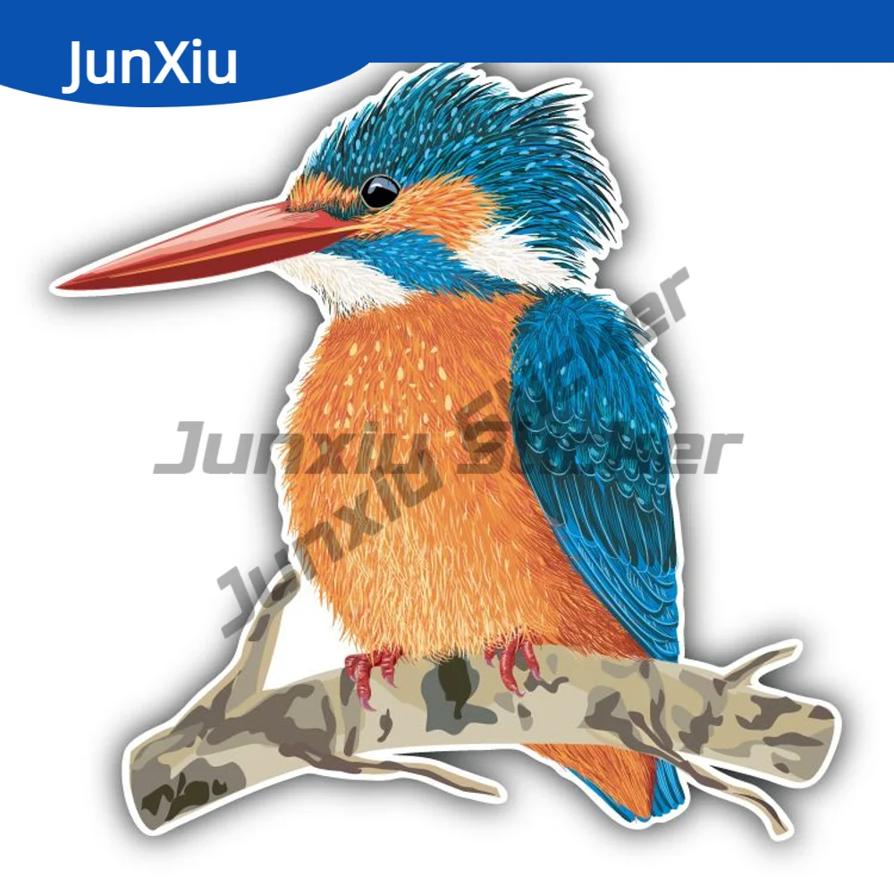 

Kingfisher Bird Decal Creative Cover Scratches Decor Graphic For Car Camper Bumper Truck Electric Front Windshield Waterproofing