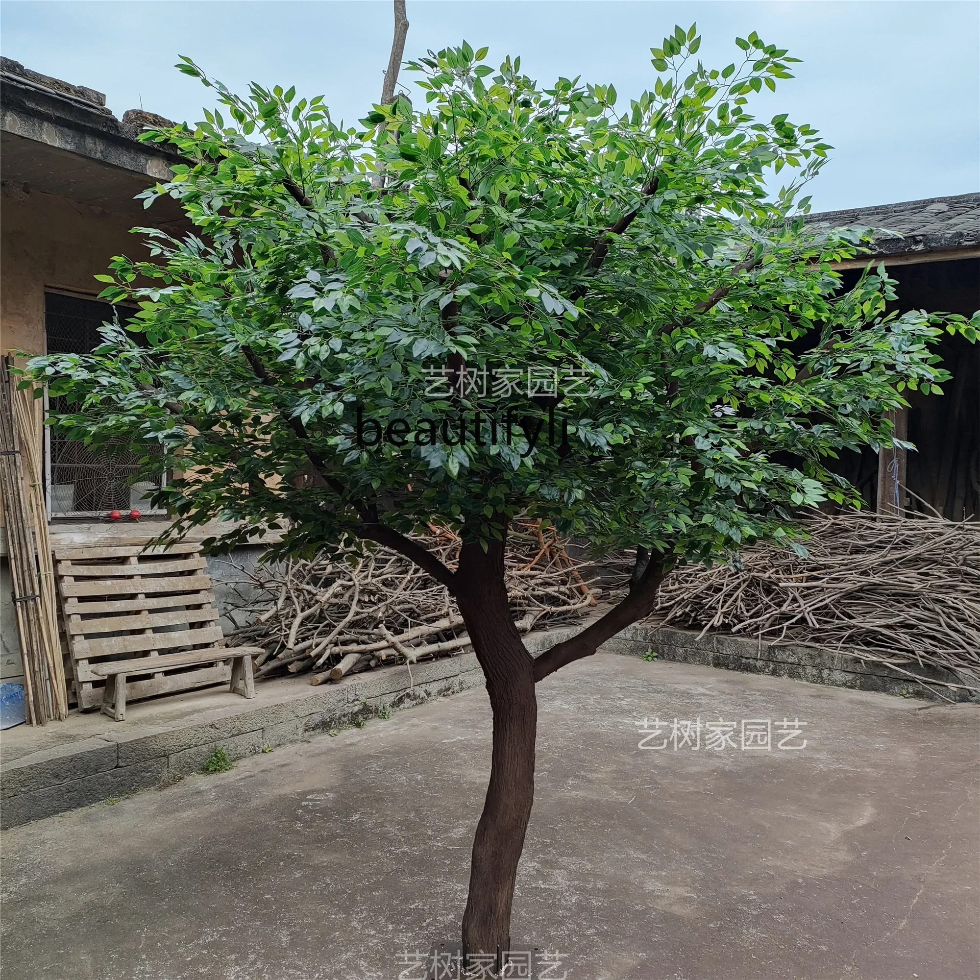 Simulation Banyan Tree Fake Trees Large Plant Indoor Floor-Standing Decorations Natural Solid Wood Trunk