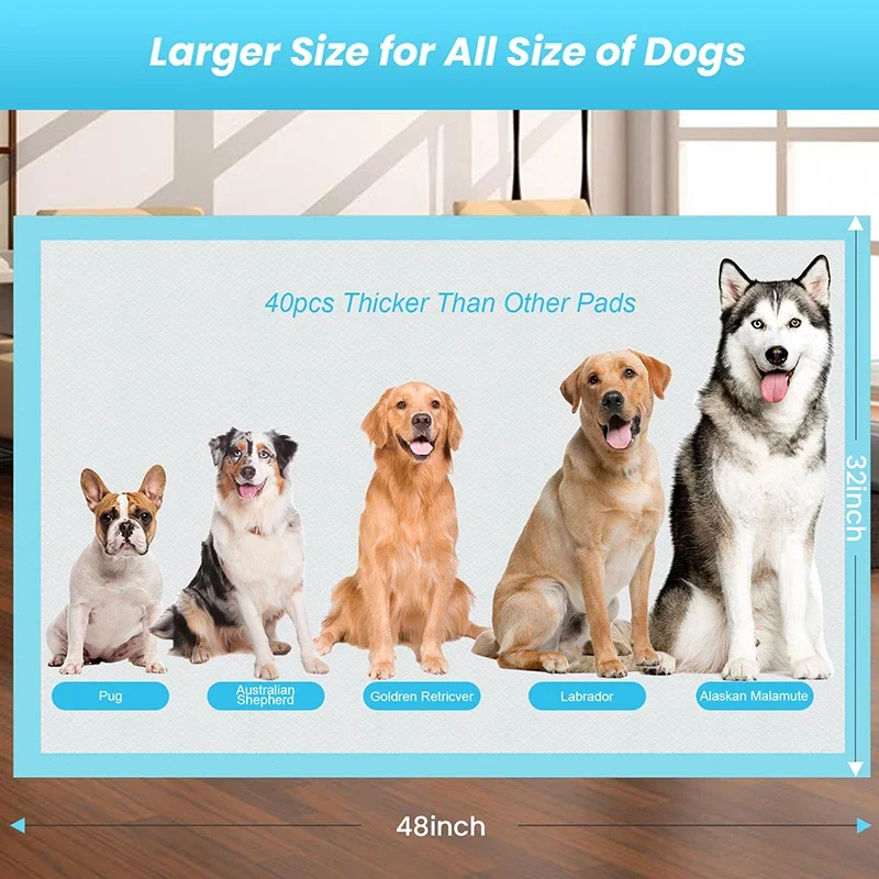 Thumbnail 2 - #66 Latest Dog Diapers Offers