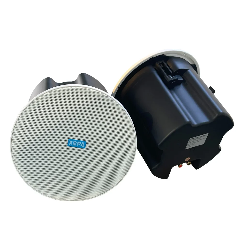 Multi Channel Multi Room Powered Stereo Sound APP Controls WIIM Customized Hifi Active Wireless Bluetooth Wifi Ceiling Speaker