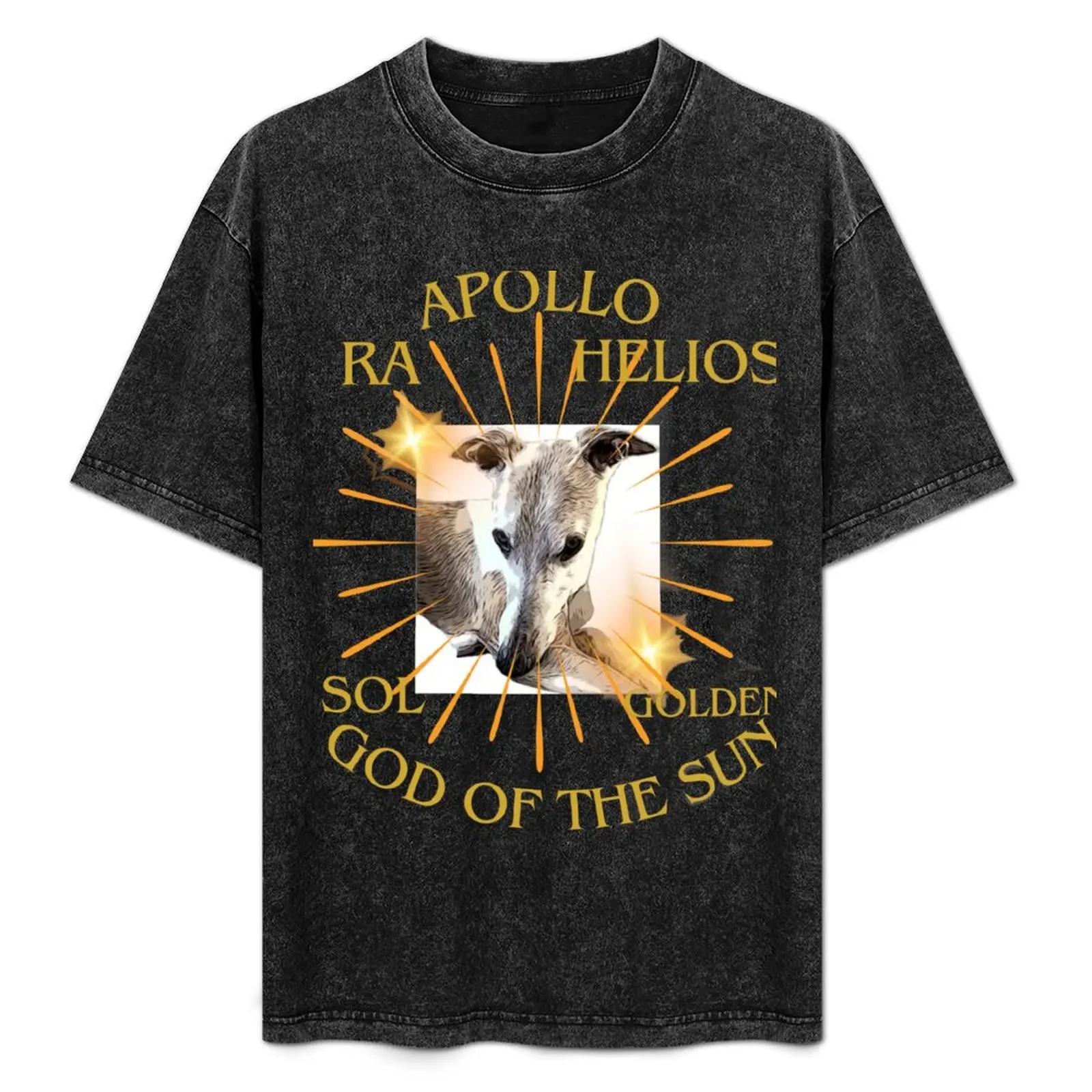 

God of the sun. Apollo Whippet. T- shirt T-Shirt Casual Everyday Wear T-Shirt
