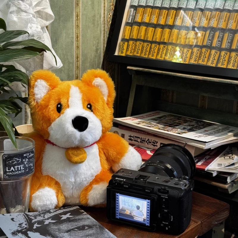 Partyanimals 25 سنتيمتر نيمو لعبة أرقام يجلس لا تزال سلسلة لينة الطرفية الدمى Kawaii ألعاب من نسيج مخملي سطح المكتب الديكور جمع الهدايا #2