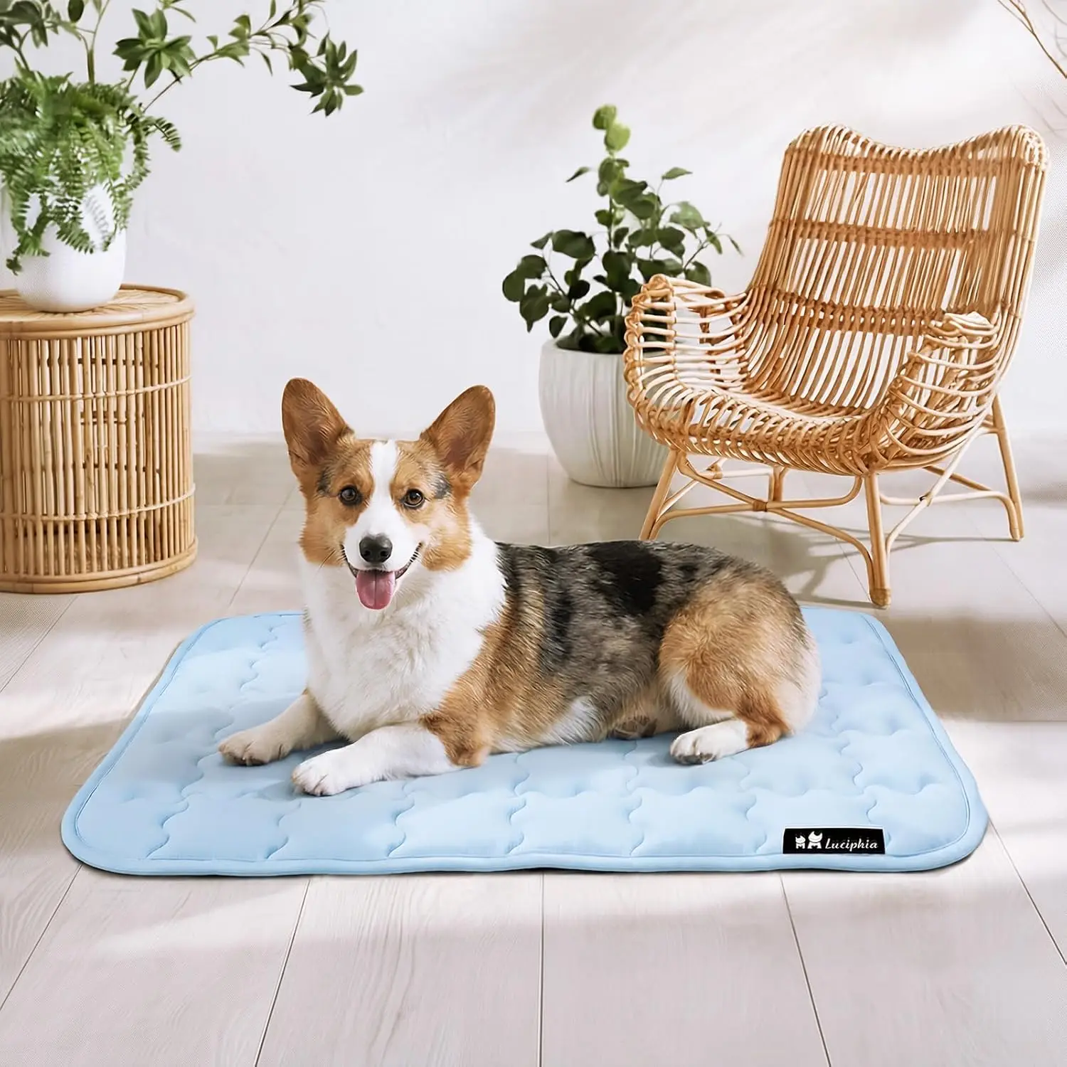 

Премиальный самопохлаждающийся коврик для средних собак, нескользящая портативная подстилка для будки, моющаяся лежанка для дома на лето, 30x40 дюймов
