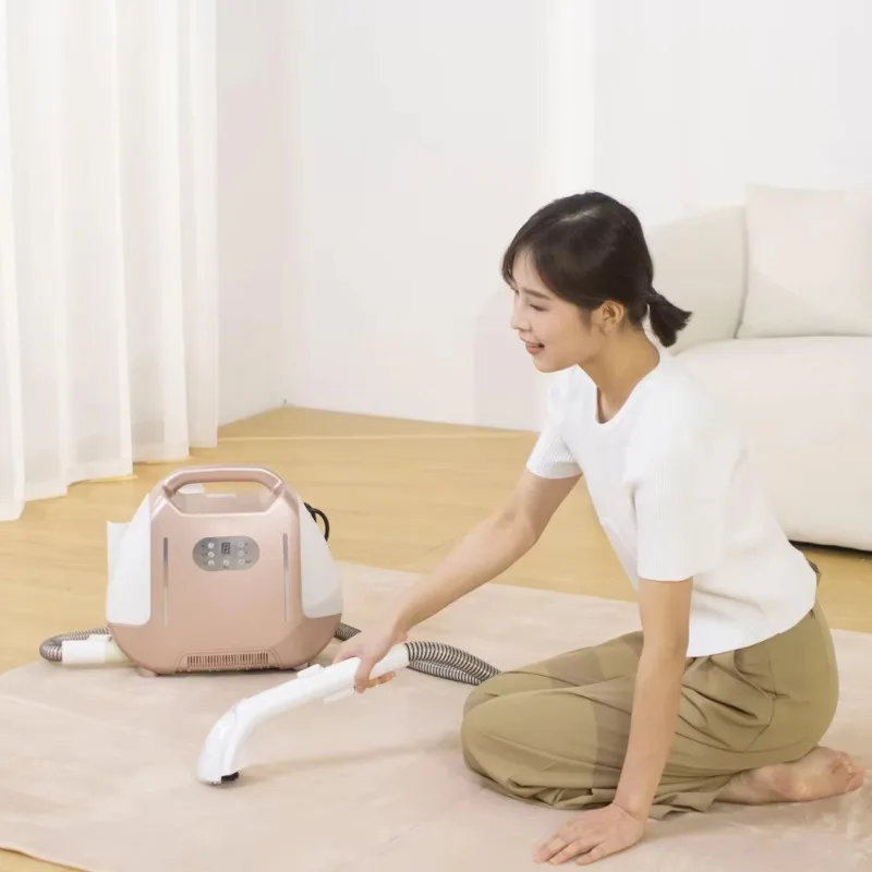 Steam Cleaner Plastic Hotels Carpet Cleaner Handheld Steam Cleaners