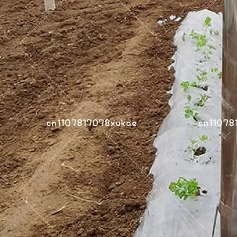 

Mini Vegetable Tomato Potato Transplanter Rapid Seeder Stainless Steel Hand Planter Seedling Transplanting Device Seeder