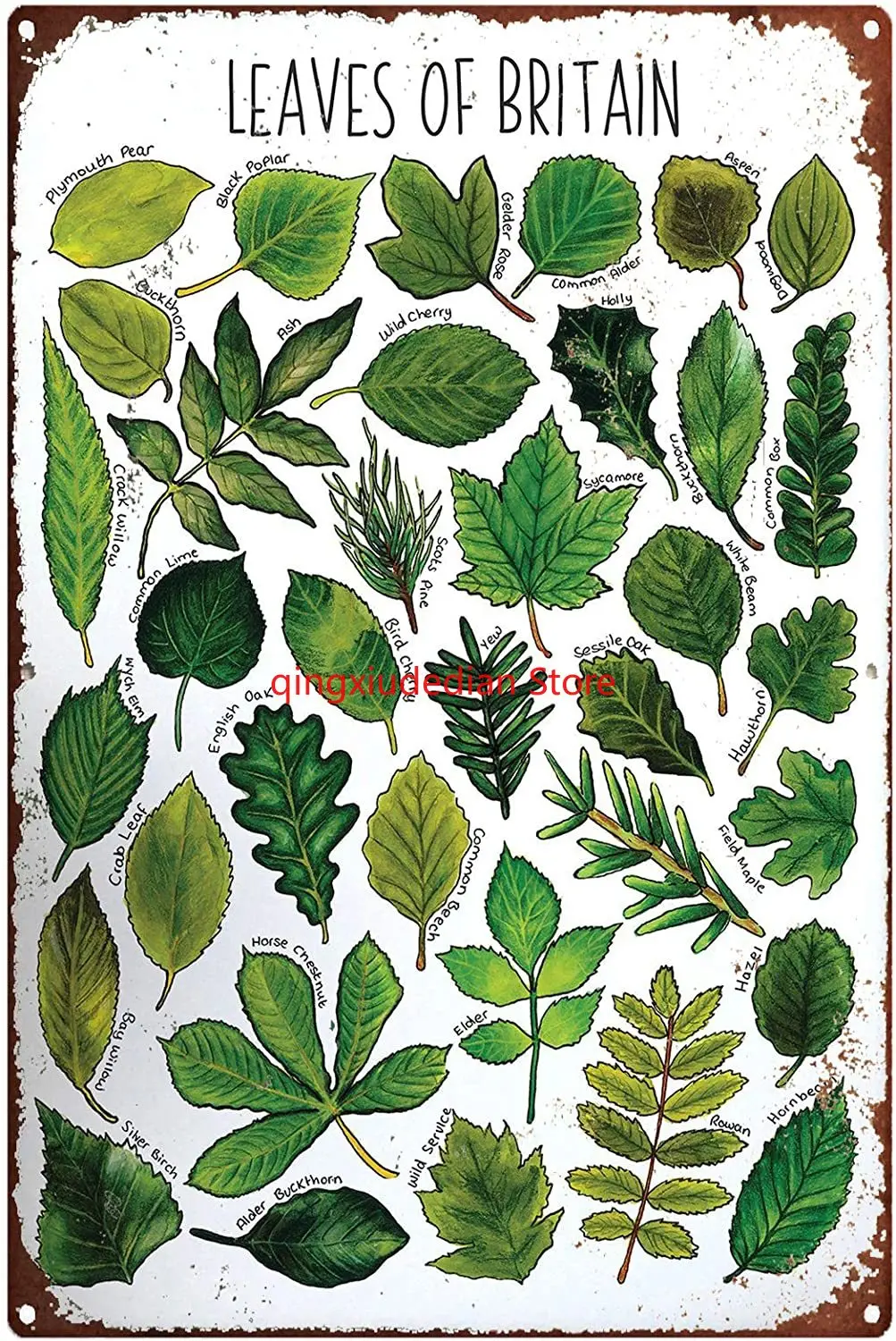 أوراق علامات القط الشخصية المطبوعة في بريطانيا ، لافتة أشجار معدنية ، طباعة حضانة ، طباعة توضيحية للحياة البرية ، طباعة نباتية