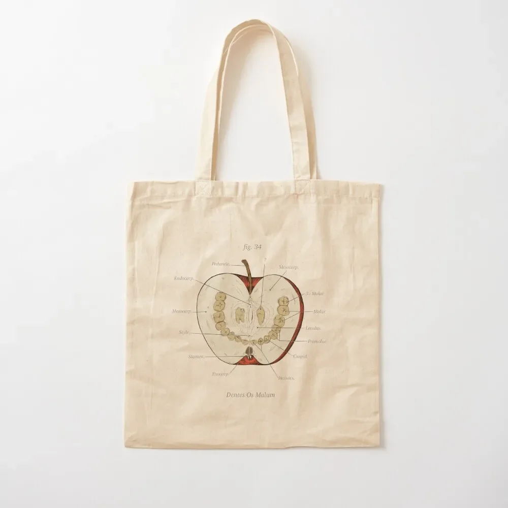 The Magnus Archives - Anatomy Class - Teeth Apple Tote Bag women bag personalized tote bag Canvas stote