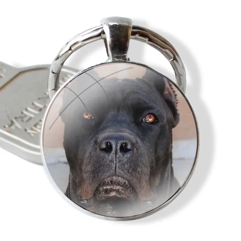 Fashion Creative Design Cartoon Keychain Handmade Glass Cabochon Key Ring Holder Pendant Key Chains Italian dogs Cane Corso