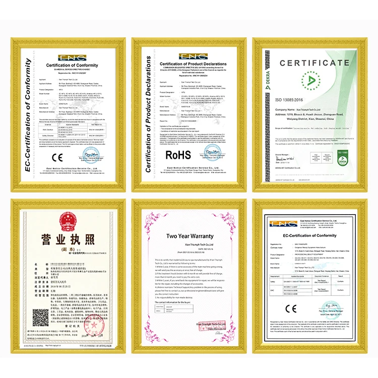 Рисунок 6 - Новые поступления 20225