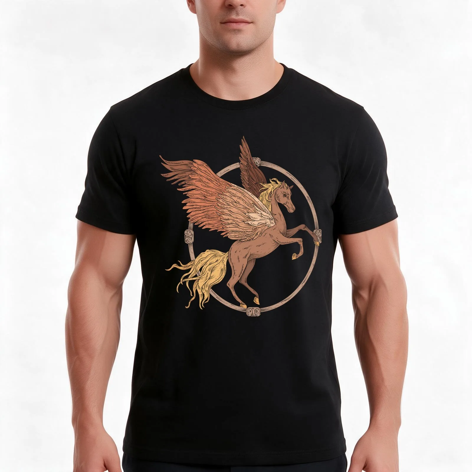 Flying Pegaasus In A Wooden Frame T-Shirt Summer Casual Cotton Tee Oversized Streetwear Tops Vintage Graphic Print