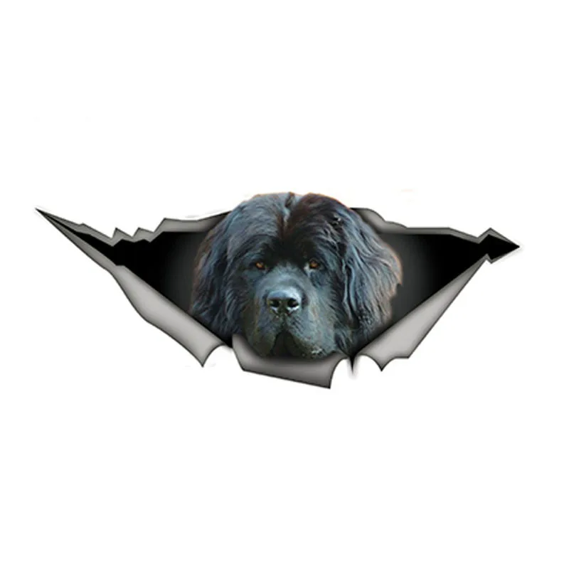 Funny Newfoundland 3D Car Sticker Dewfie Pet Dog Decal Waterproof Car Styling Car Stickers Decoration 15cm x 6cm