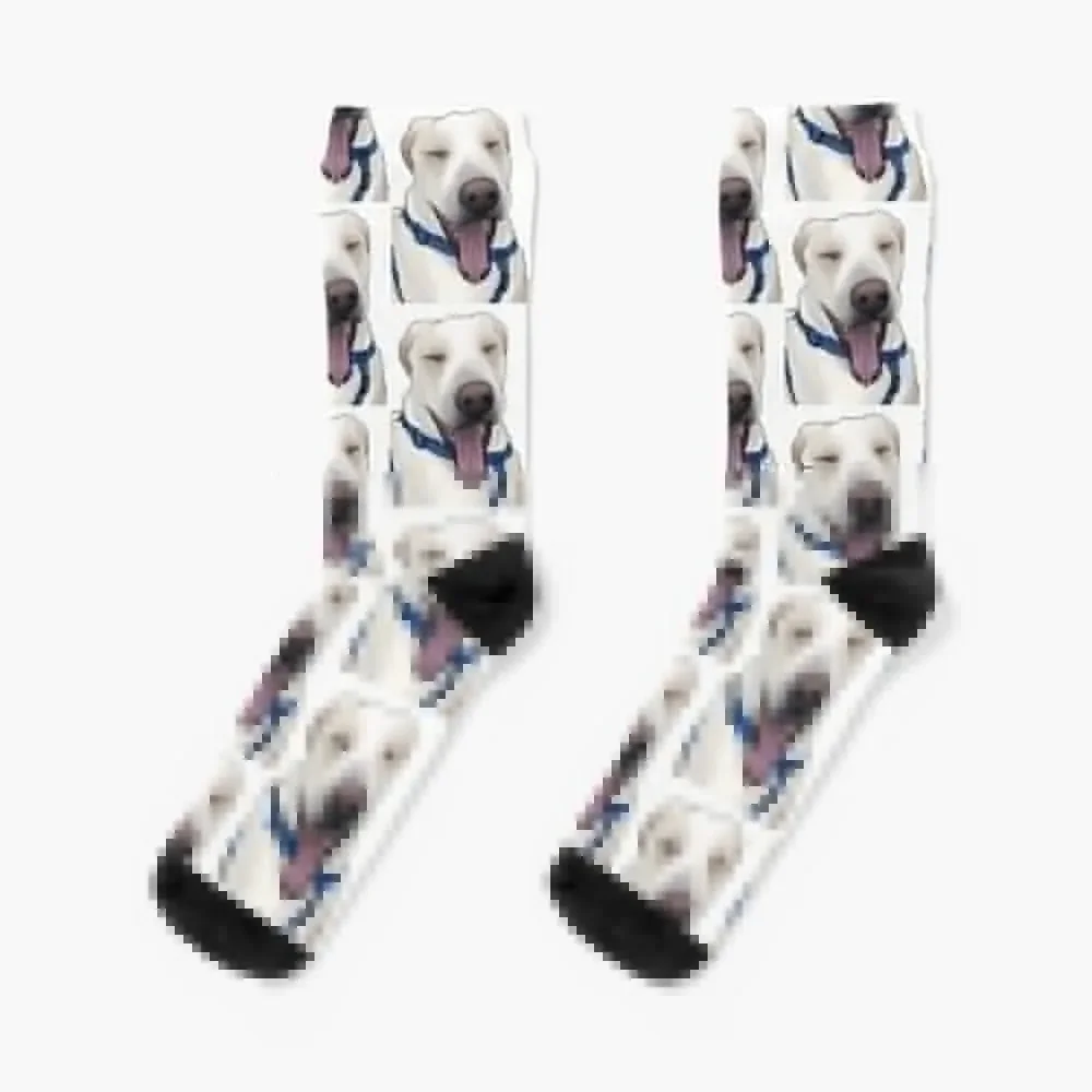 

Tired, happy dog Socks funny gifts gift Socks Ladies Men's