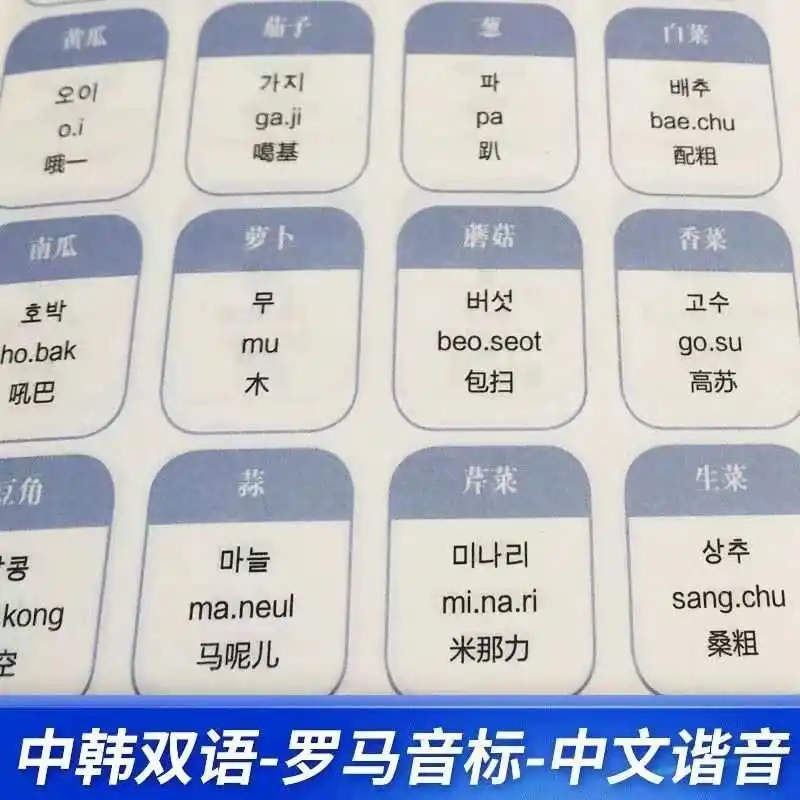 اليابانية والإنجليزية الكورية للدراسة الذاتية صفر الكتب الأساسية الدورة الابتدائية مواد التعلم النطق الأجنبي دخول تعليمي #3