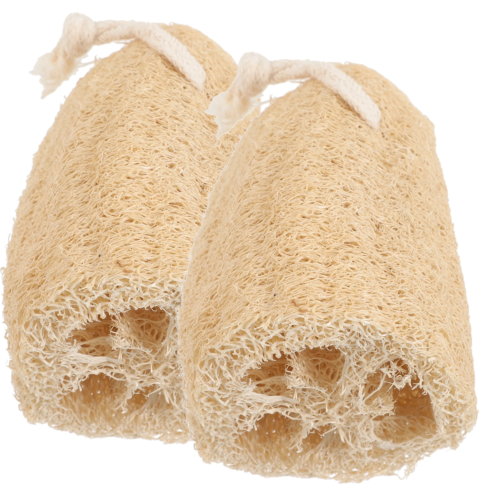 

2 Pcs Dish Washer Loofah Dishcloth Cleaning Sponges for Dishes Washing Washcloth