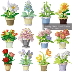 Small Granular Building Block Set Home Decor Series Decorative Ornaments Succulent Artificial Eternal Flower Pot Puzzle Toy Gift