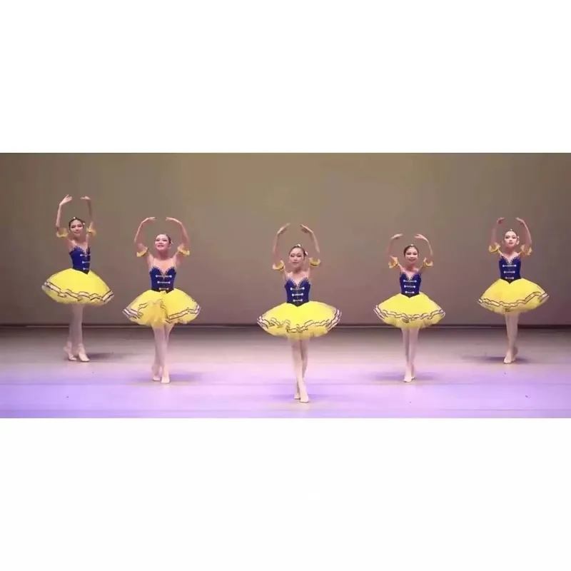 

Ballet Tutu Dress Girls Dance Clothes Professional Swan Lake Ballerina Dress Kids Modern Dance Party Ballet Costume Girls
