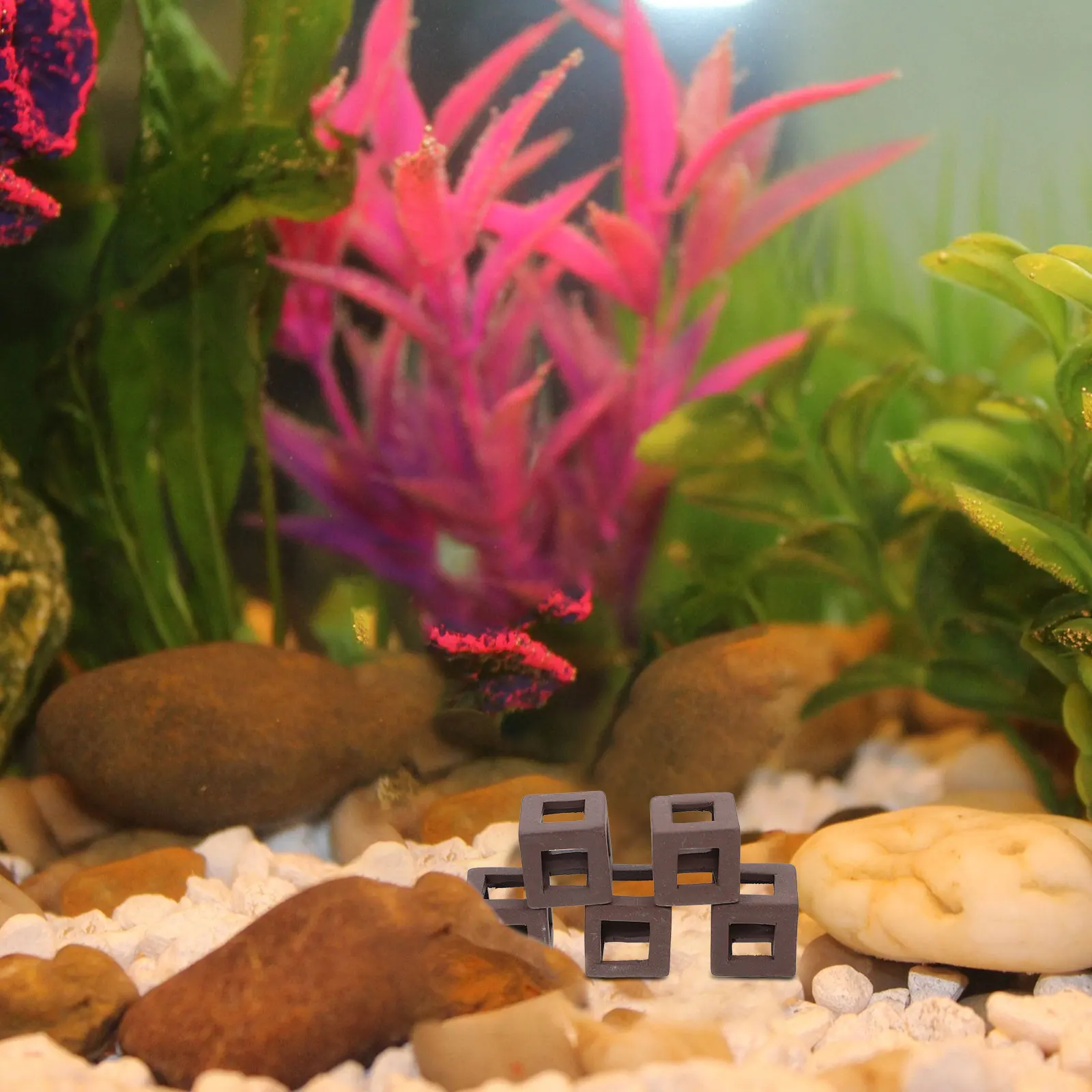 

5Pcs Aquarium Fish Hiding House No Fading No Deformation Creative Landscape Decoration Fish Tank Adornment Aquarium Decor