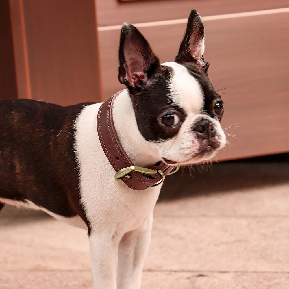 Echtes Leder-Hundehalsband, Langlebiges Welpenhalsband, Echtes Leder-Haustier-Halsband, Verstellbar für Kleine, Mittlere und Große Hunde, Pitbull – Detail 18