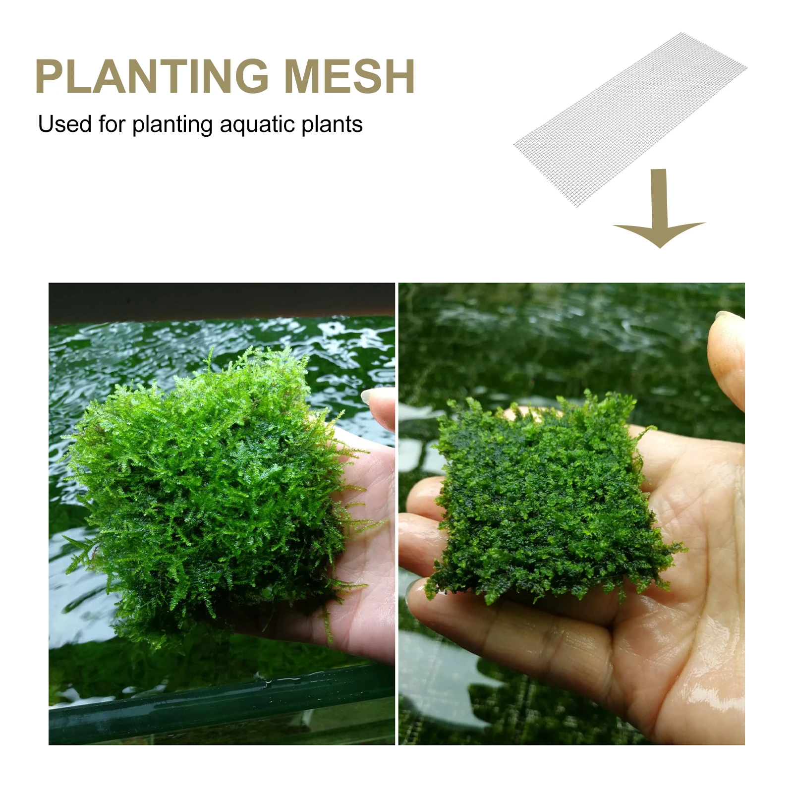 

10pcs Stainless Steel Aquatic Moss Mesh 75x19mm Fish Tank Decor Wall Durable Plant Growing Background Accessories