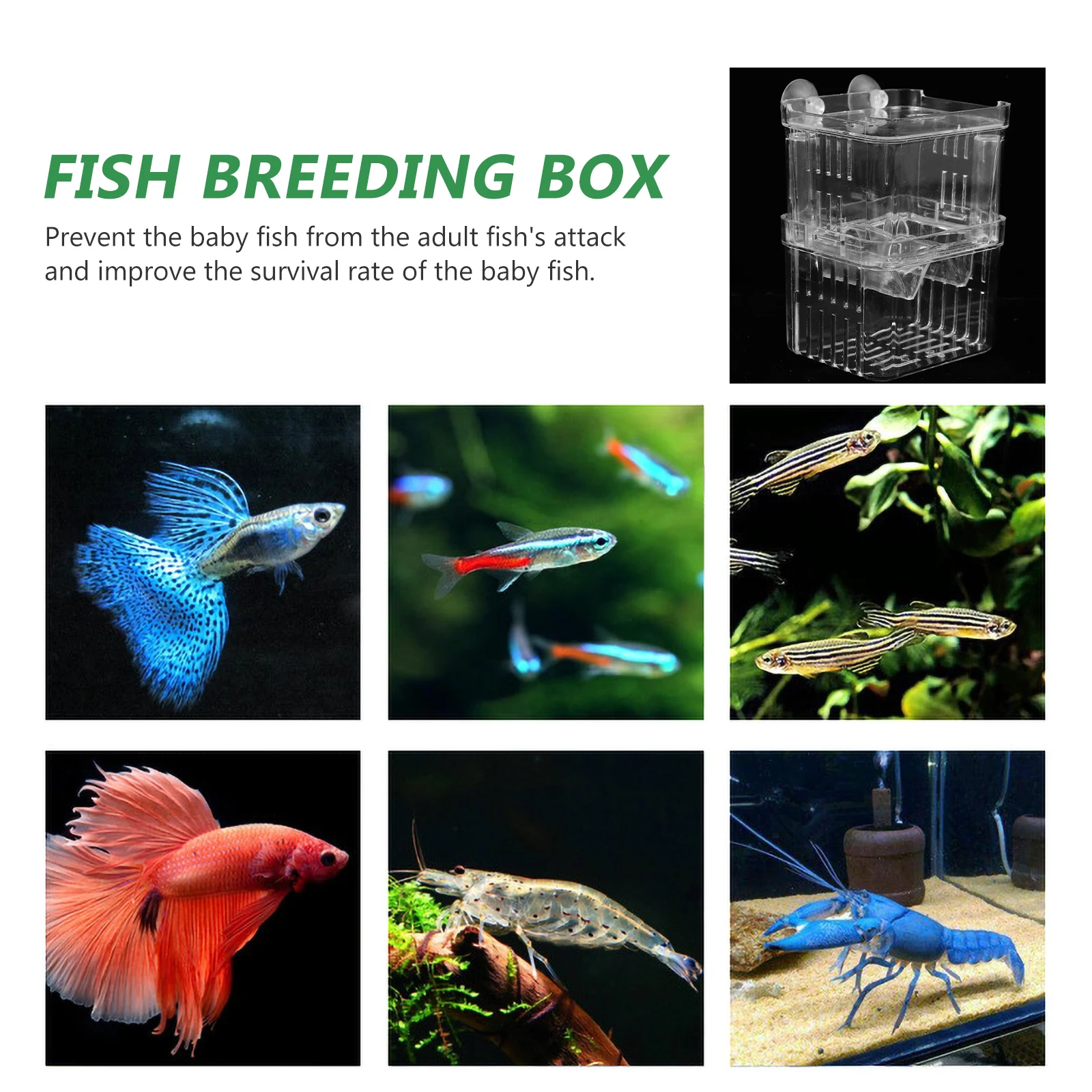 

Fish Breeding Isolation Box Aquarium Hatchery Incubator Small Premium Material Double Layers Space Saving Side Vents Optimum