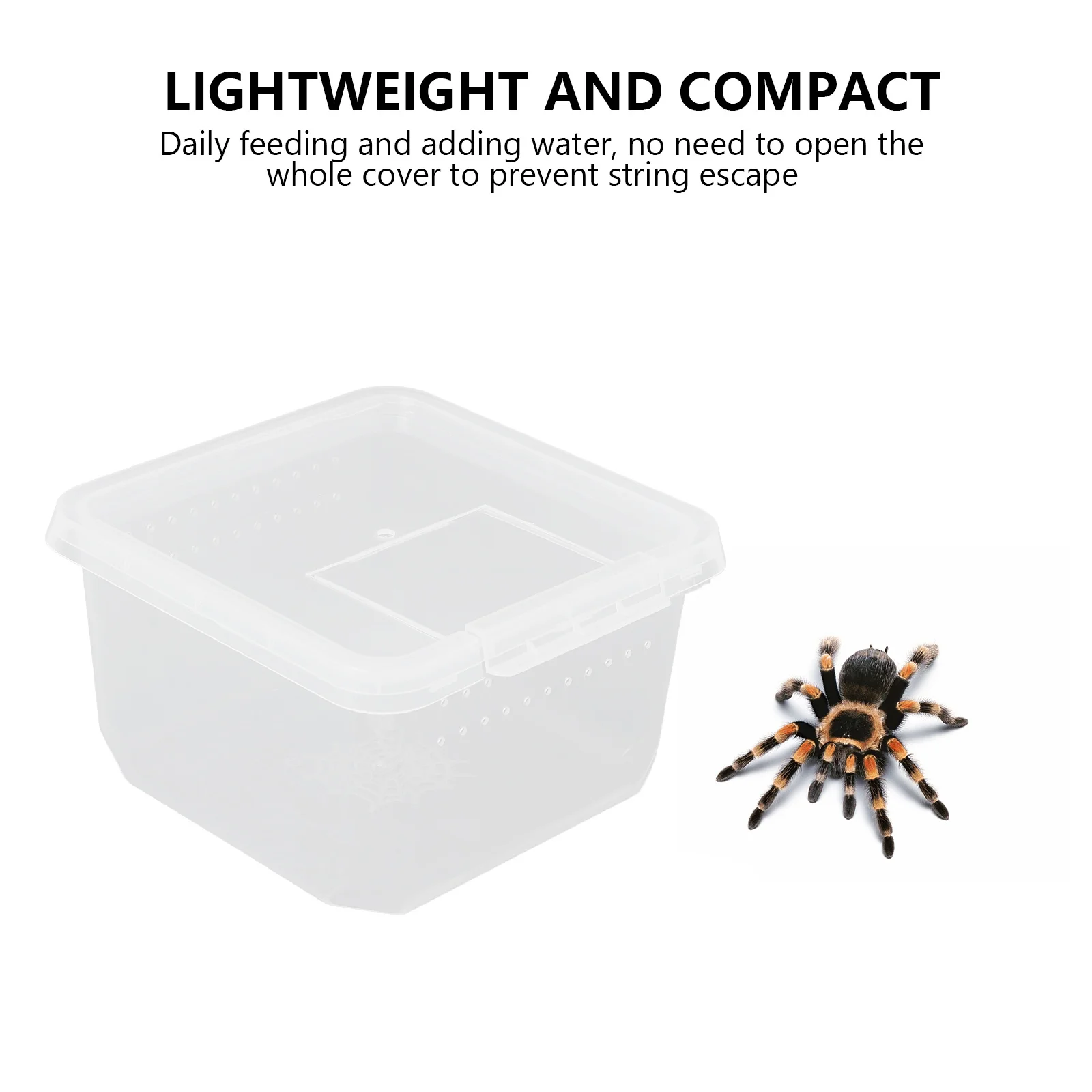 

Mini Insect Carrier Reptile Feeder Box Transparent Spider Scorpion Beetle Feeding Container Hermit Crab Snail Nest Ventilation
