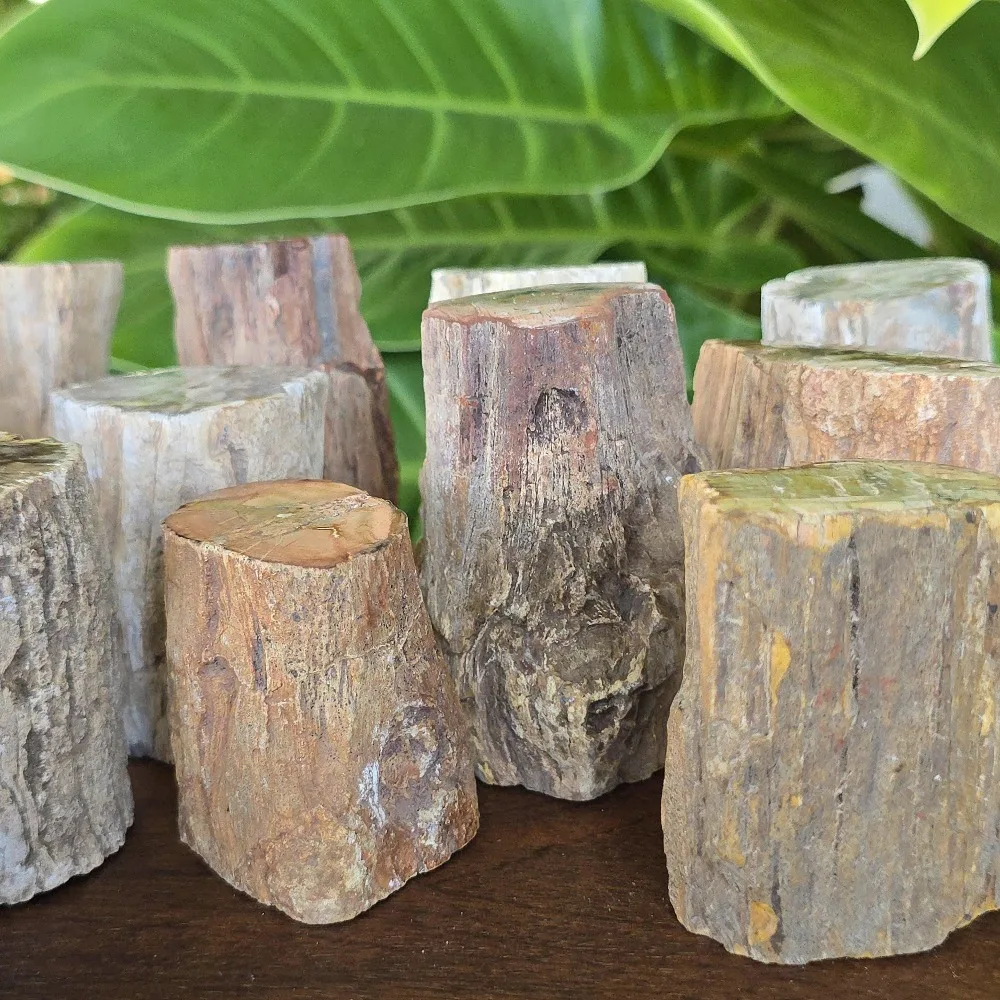 1 Stück Natürlicher Mineralischer Zylindrischer Versteinertes-Holz-Stein-Artefakt, Energie-Kristallscheibe, Rohstein-Holz-Exemplar – Detail 3