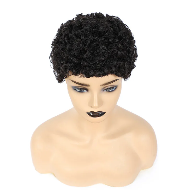 Wigs short wig Cross-border wig, African women's fashion chemical fiber headgear, black short curly hair, snail roll. short wig