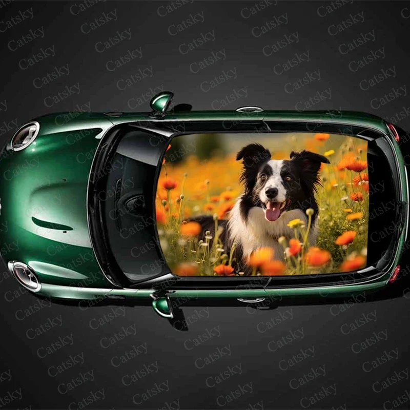 

Бордюр колли с цветком, фотопленка, гоночный внедорожник, автомобильные аксессуары, упаковка, окрашенный ПВХ, пользовательский автомобиль, графическая наклейка, Декор