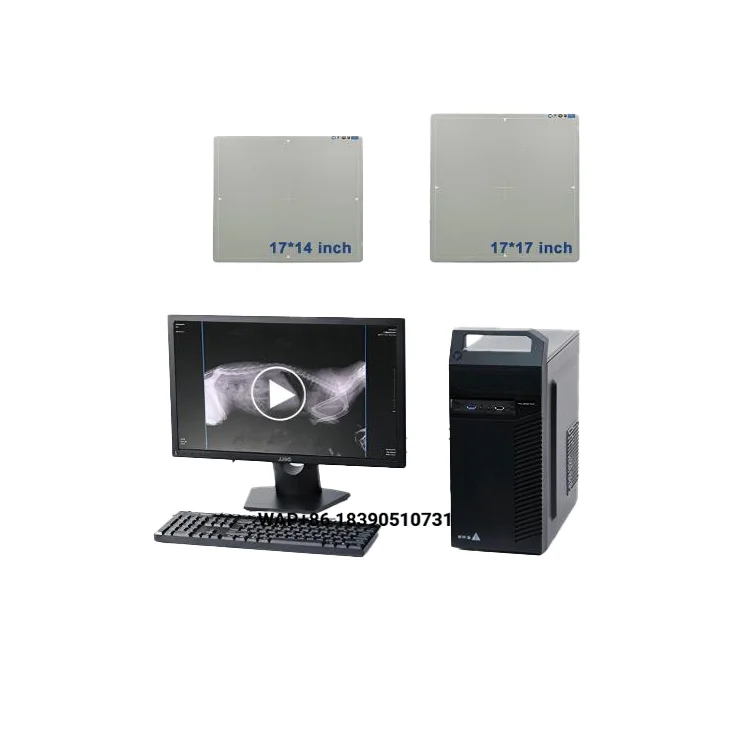 UMY Electric Multifunctional Veterinary Digital X-ray Machine with Workbench (UMXRAY065 Model 125 KV CE Certified)