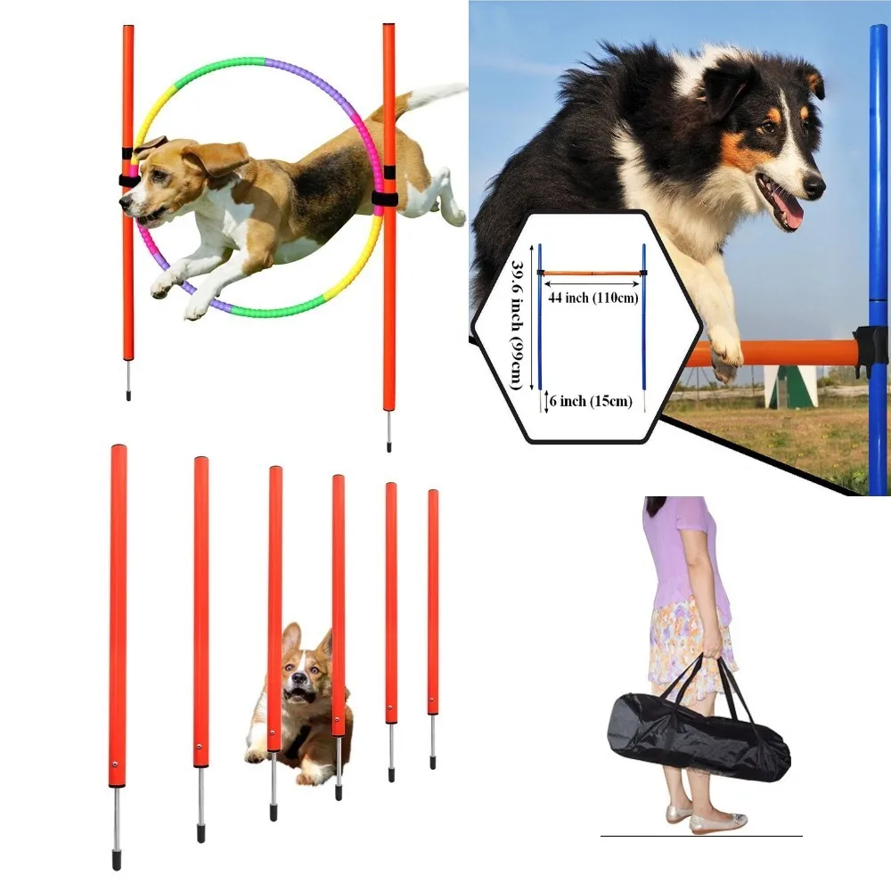 #26 Trending Pet Agility Equipment Right Now