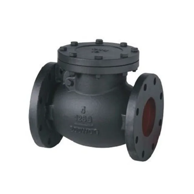 MSS SP-71 CLASS 125 صمام فحص أرجوحة من الحديد الزهر #1