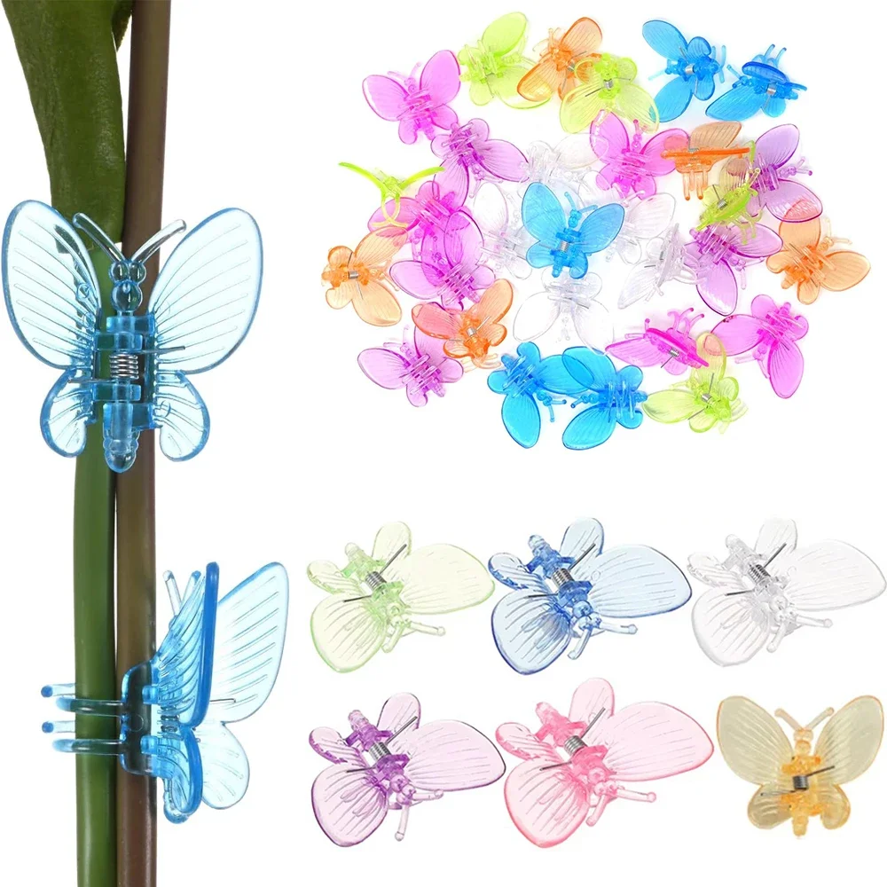 

10/30pcs Colorful Orchid Clips Butterfly Clamps Garden Plants Vine Climbing Fixed Support Plastic Ornamental Clips Bonsai Decora