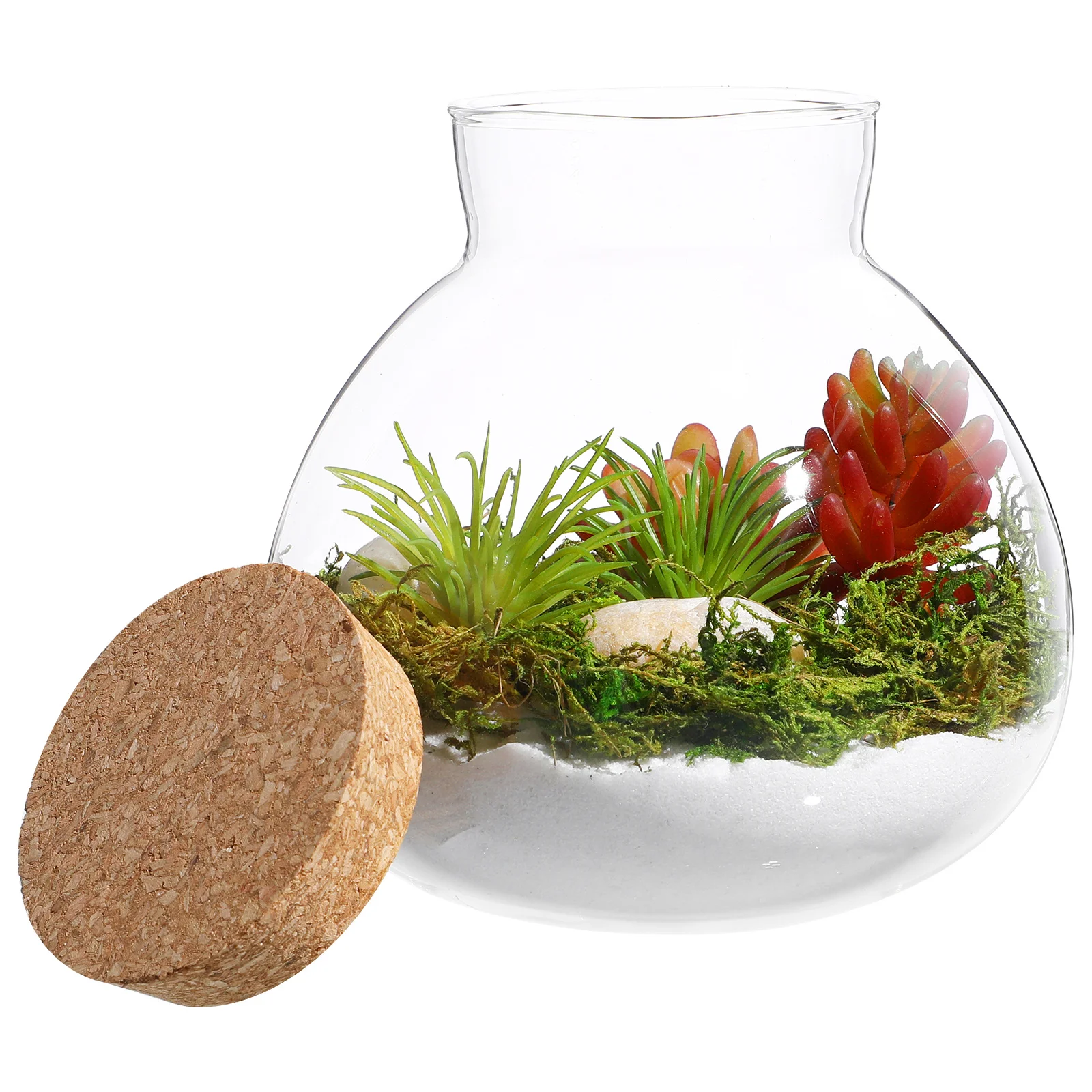 

Glass Terrarium Bottle 15Cmx16Cm Round Clear Jar Smooth Edge Easy Clean Diy Desktop Micro-Landscape Container For Home