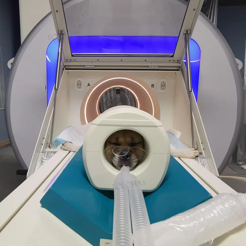 LHWMRI2 Superconductivity Animal-specific V-shaped Patient Table Vet 1.5T MRI System For Animals