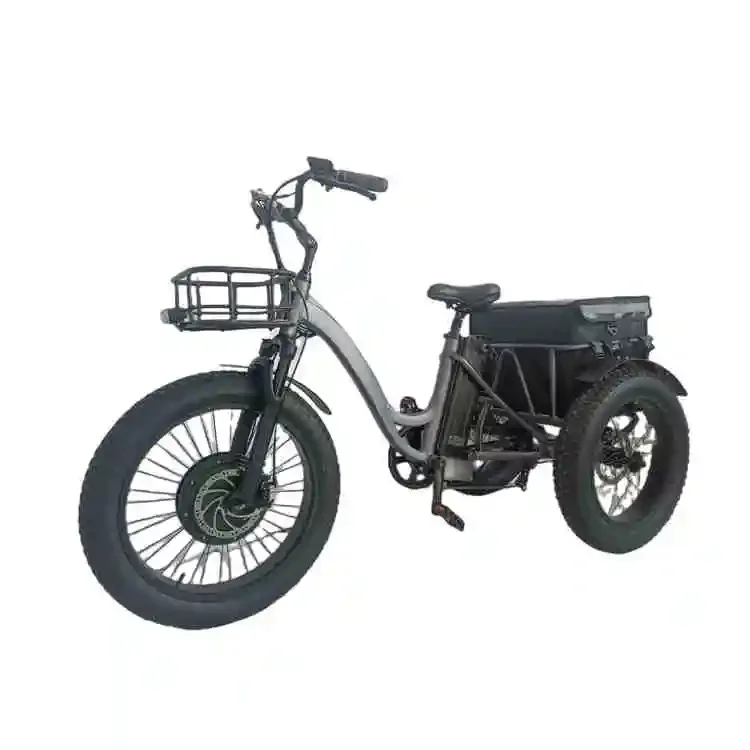 

Высококачественный T-48v1000w CZDM Электрический трехколесный велосипед для взрослых, низкая цена, электрический велосипед со склада в ЕС