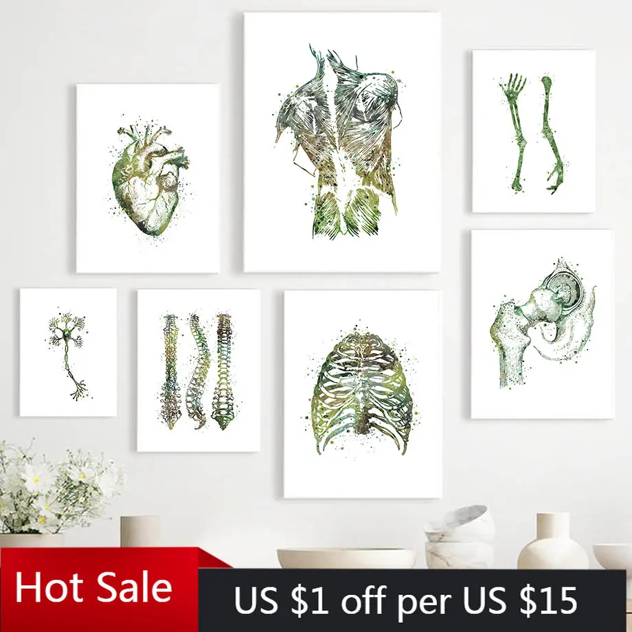 Organ Anatomy Heart Lung Muscle Skeleton Spine Nordic Posters And Prints Wall Art Canvas Painting Wall Pictures For Clinic Decor