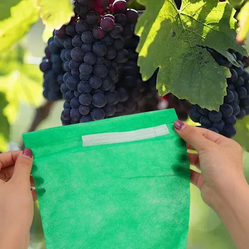 Tas Pelindung Buah Anggur Tas Penumbuh Tanaman Tas Jaring Anti-burung Kantong Beku Perlindungan Non-tenun Penutup Tanaman Sayuran