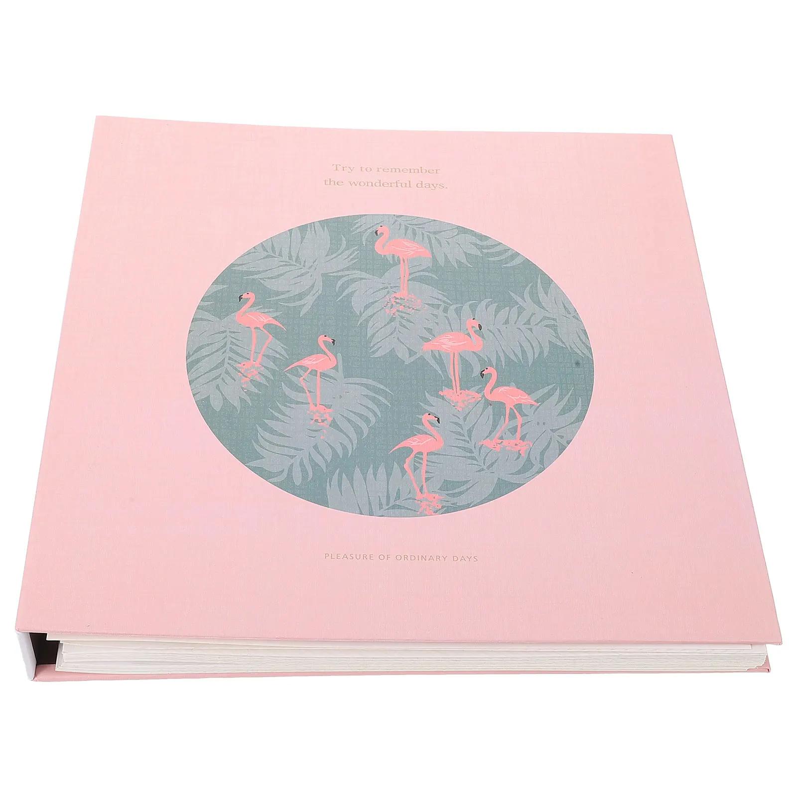 Livro de armazenamento de pasta, amostra de flores secas, prensagem de álbum de recortes, coleção de flores de papel, fácil remoção, confiável, seguro e confortável